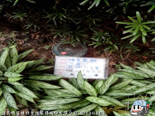 原本社區採用的珠寶燈動輒數百瓦特！幾十盞燈下來電費可是很嚇人的